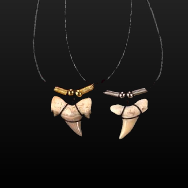 アオザメの歯化石 ワイドデザインネックレス